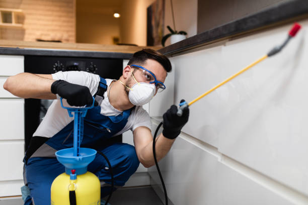 Best Best Pest Control Companies  in Ata, OK