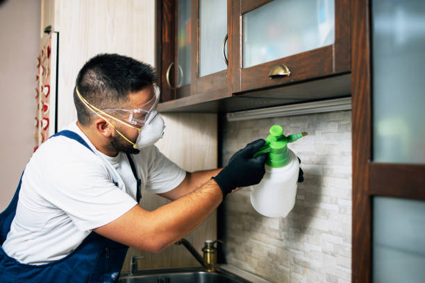 Best Cockroach Control Services  in Ata, OK