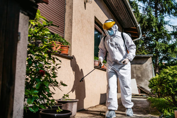 Best Bed Bug Extermination  in Ata, OK