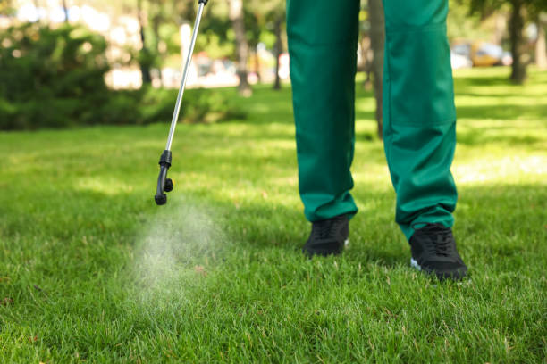 Best Local Pest Control Services  in Ata, OK