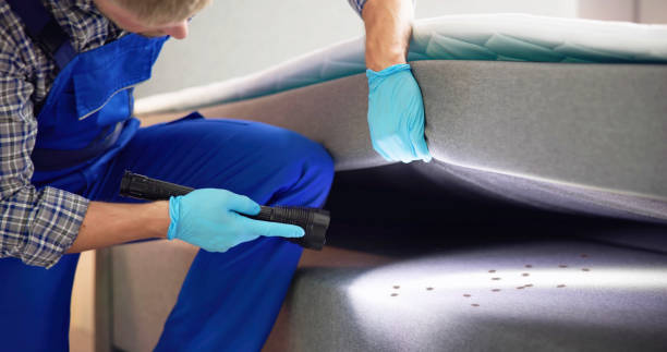 Best Mosquito Control Services  in Ata, OK