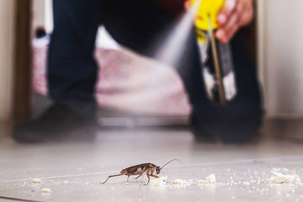 Best Pest Removal Services  in Ata, OK